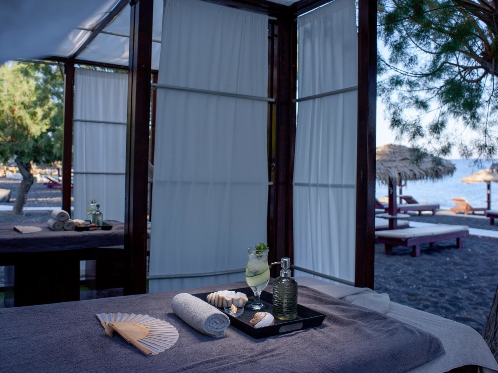 Wellness