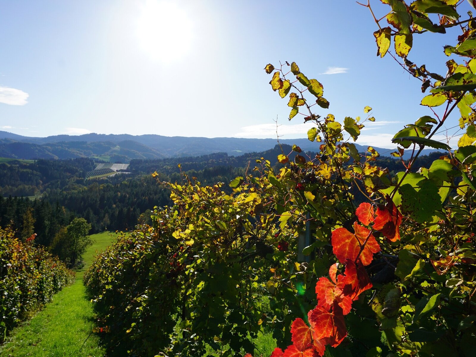 Landschaft