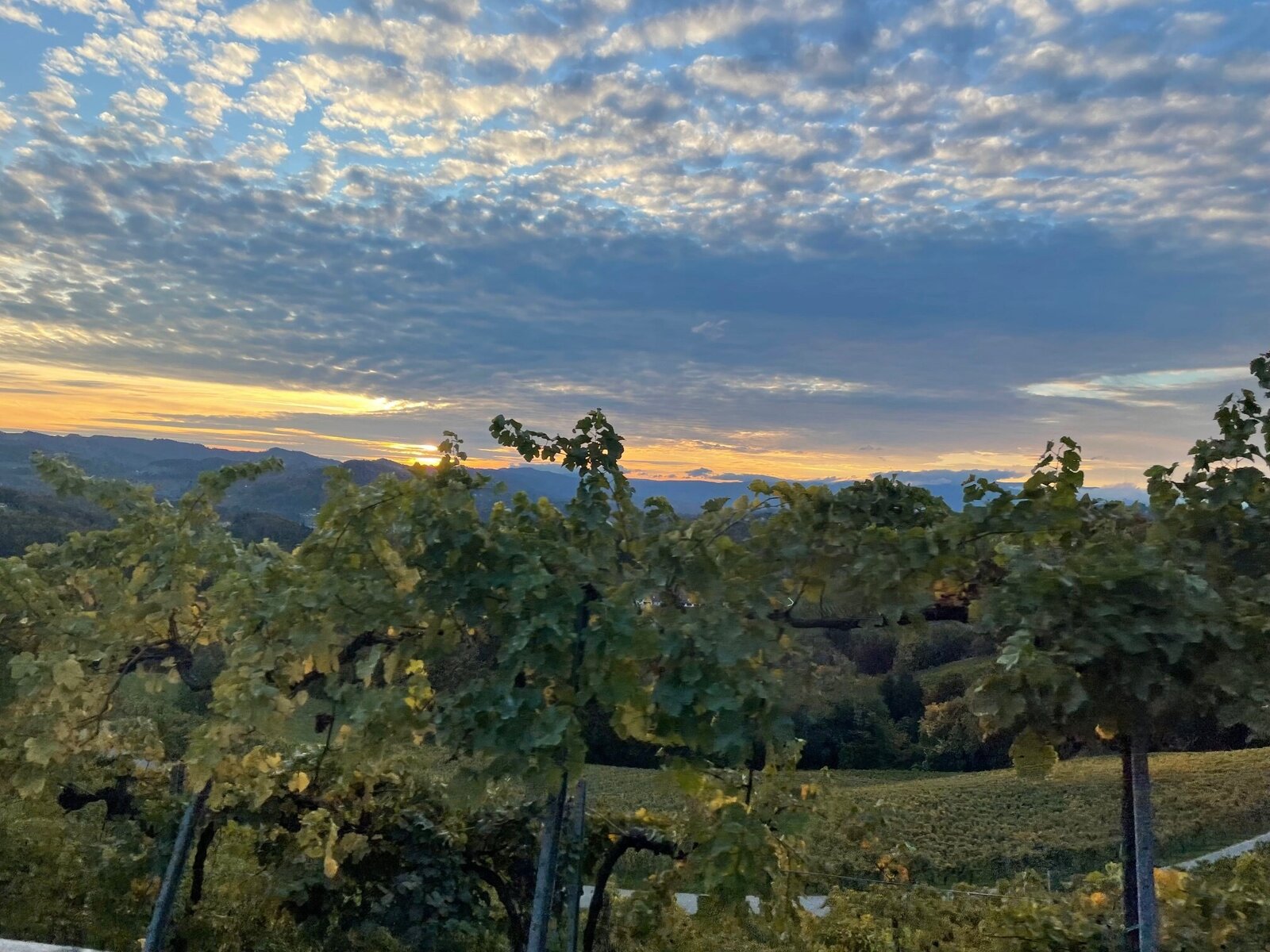 Landschaft