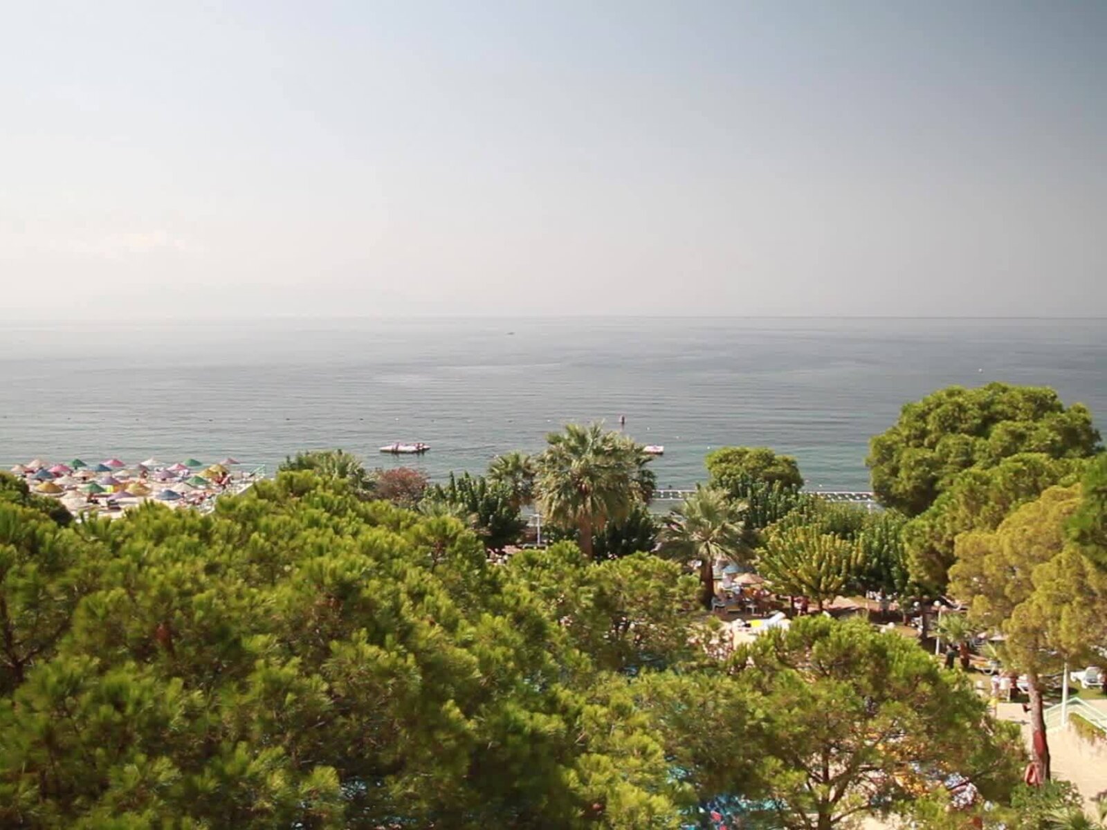 Landschaft