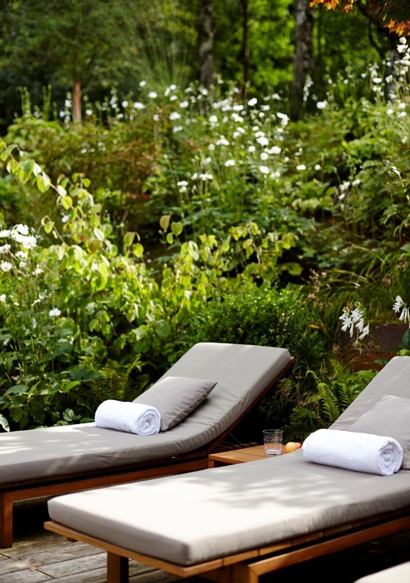 Wellness