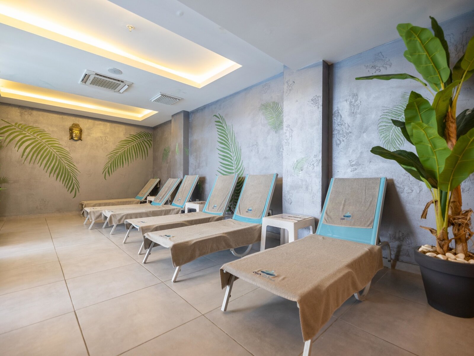 Wellness