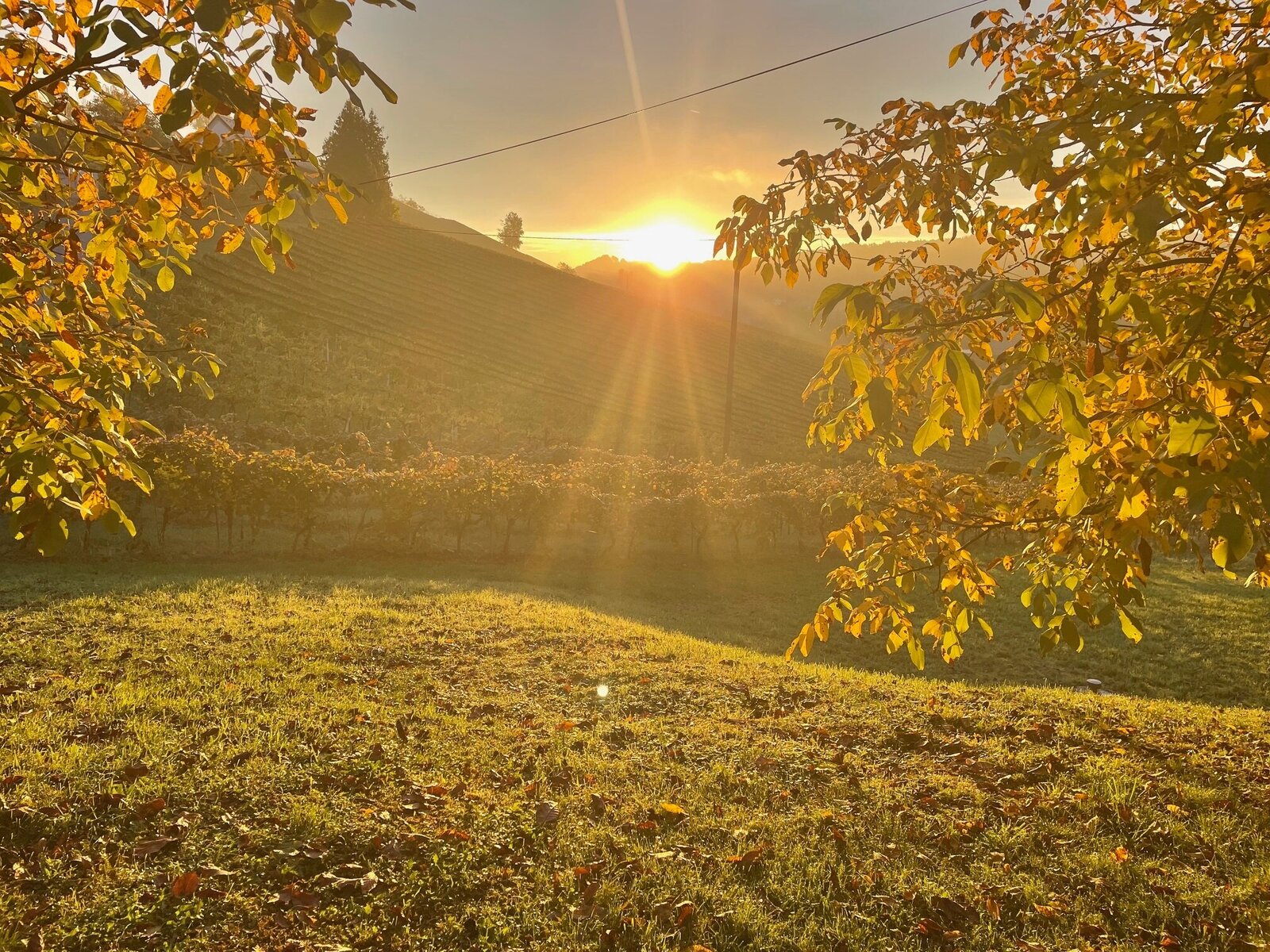 Landschaft