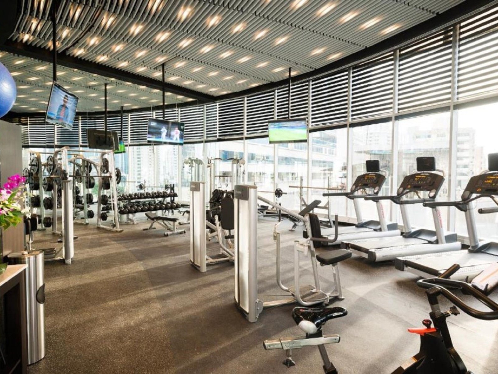 Sport