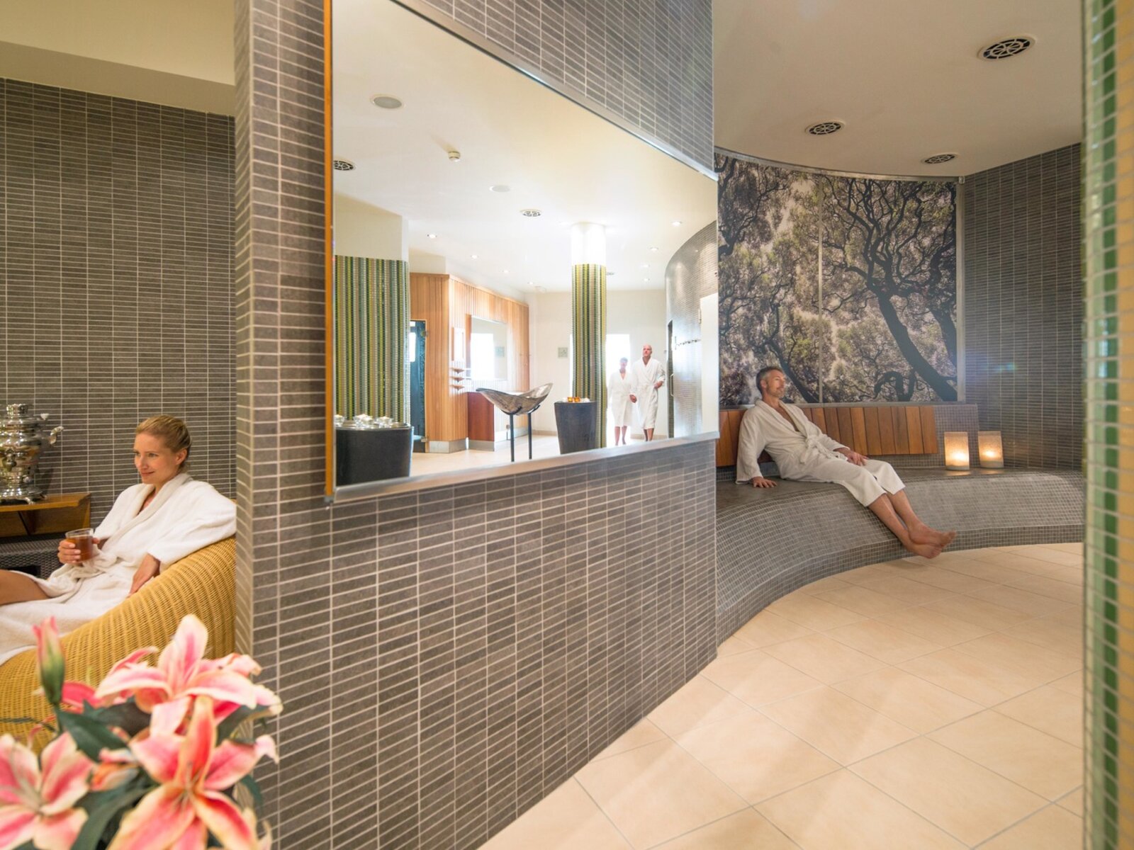 Wellness