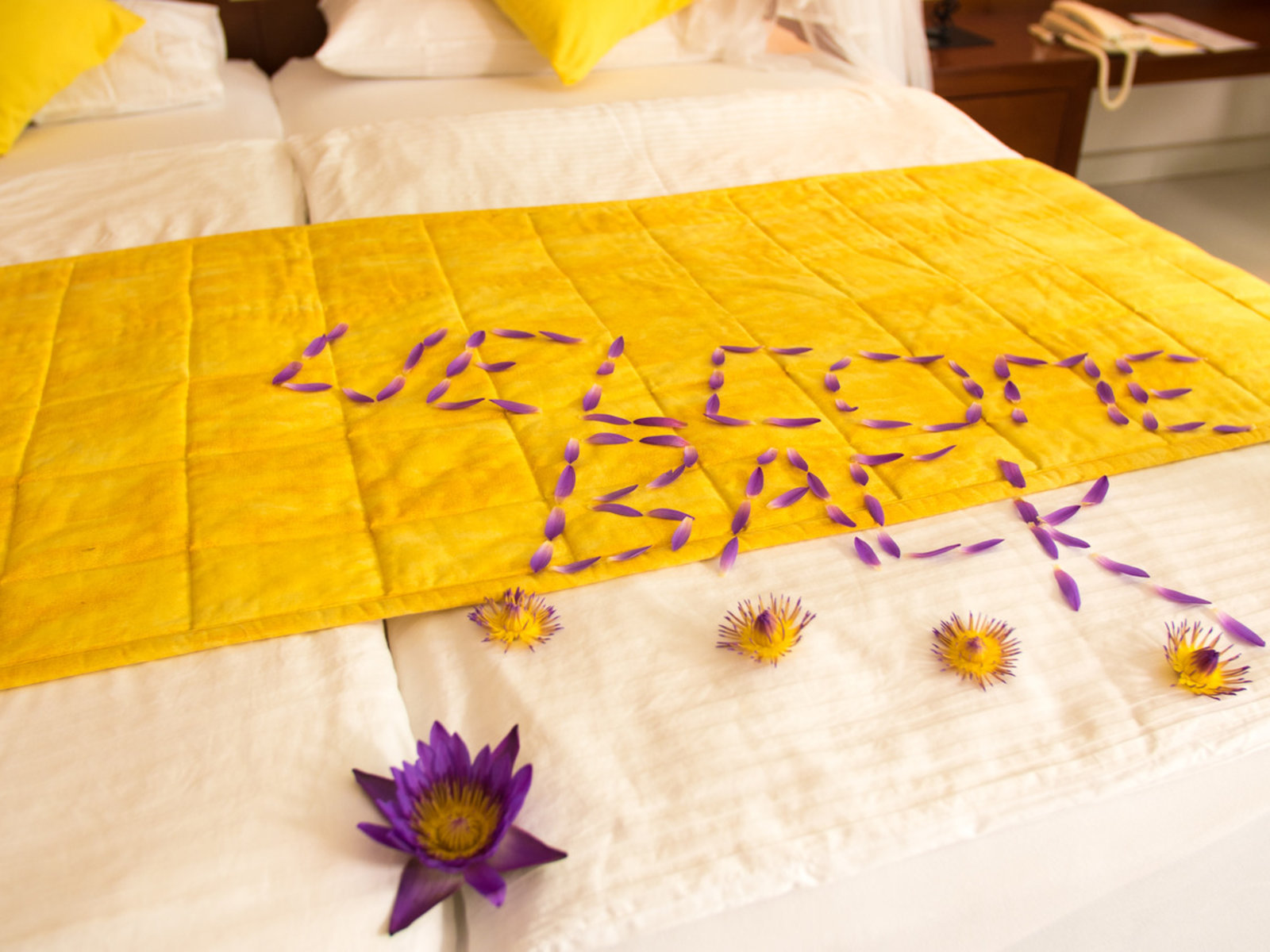 Wohnbeispiel Comfort Room