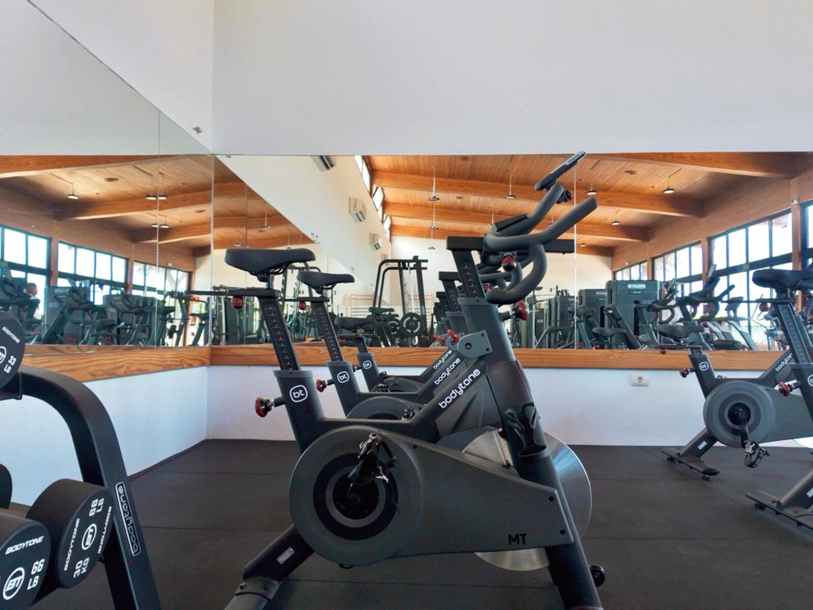 Sport