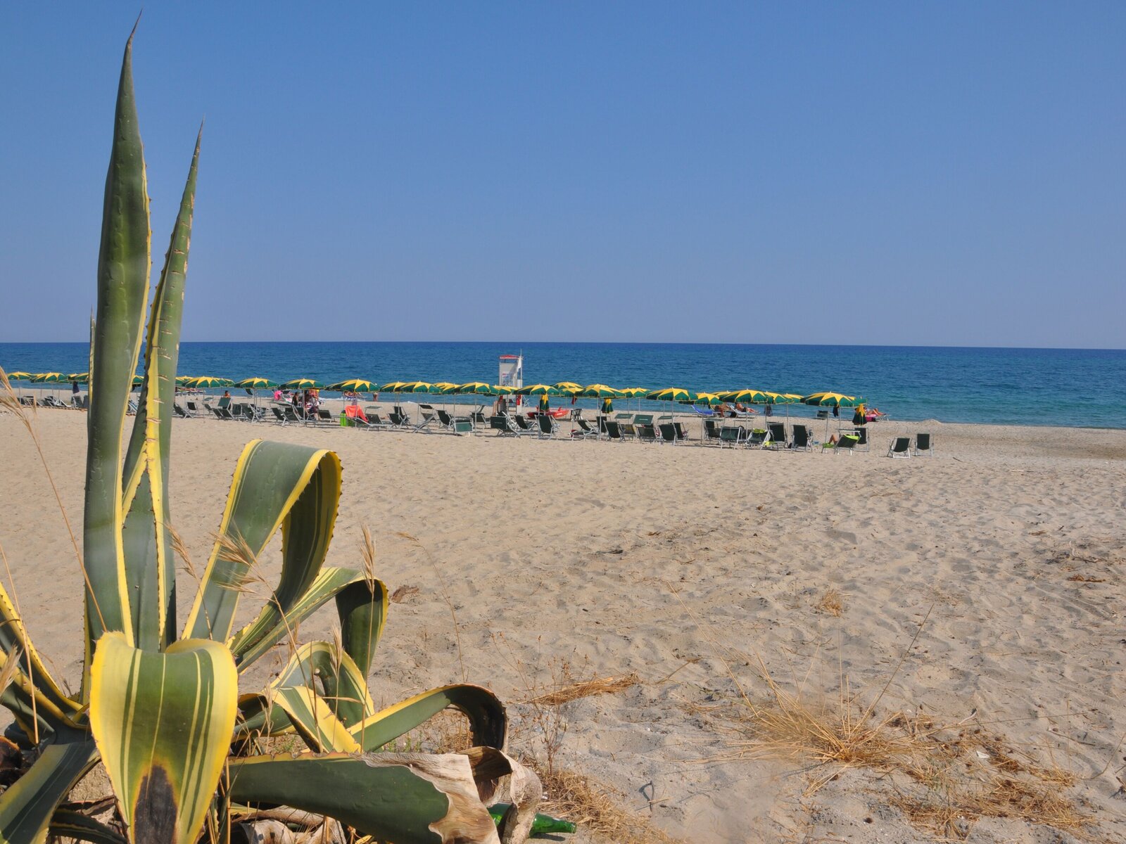 Strand