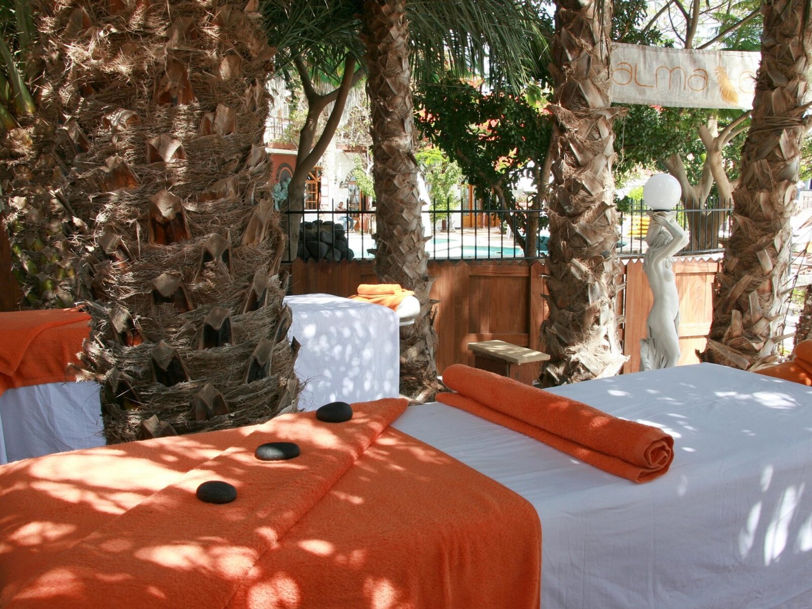 Wellness