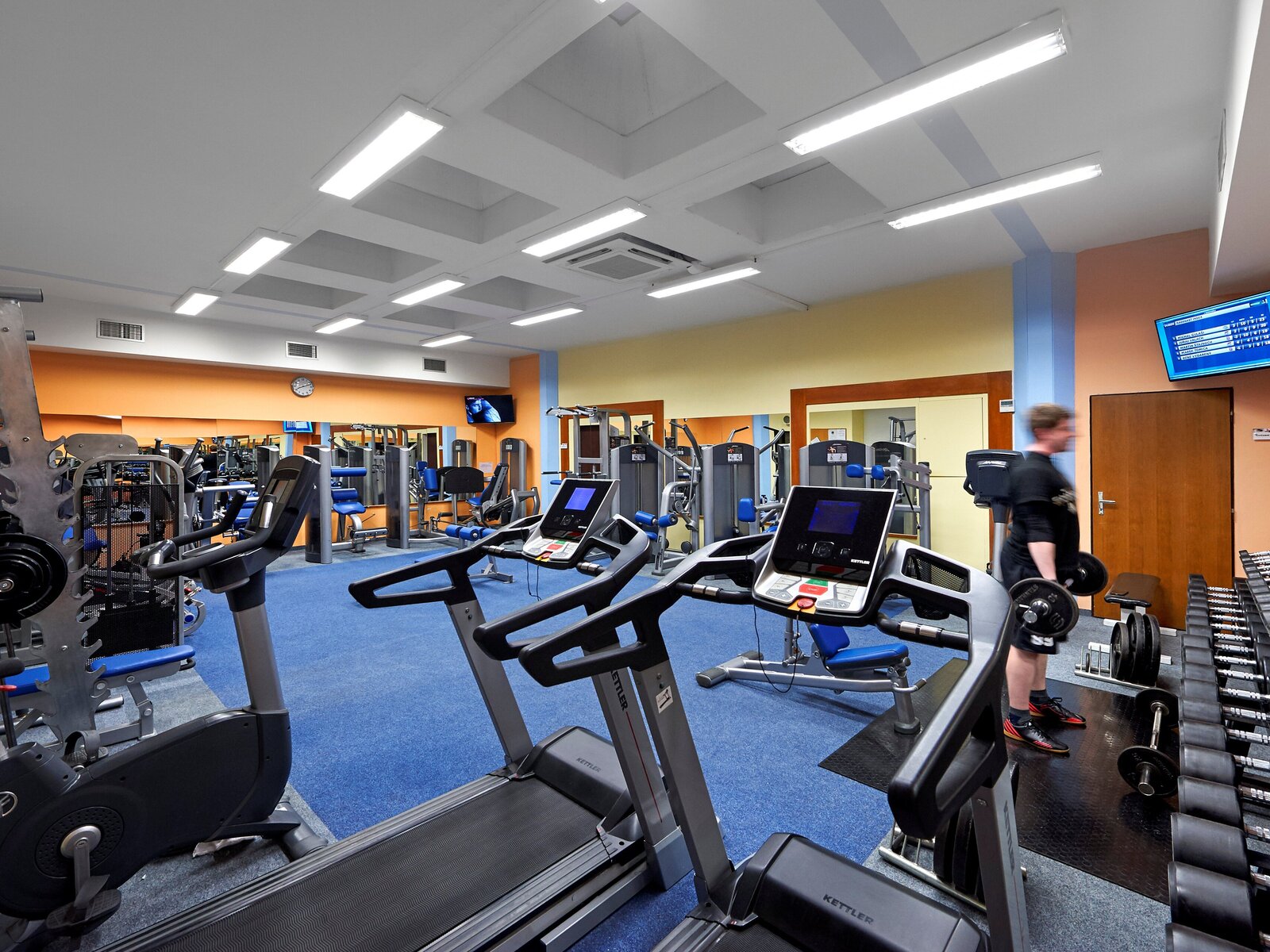 Sport