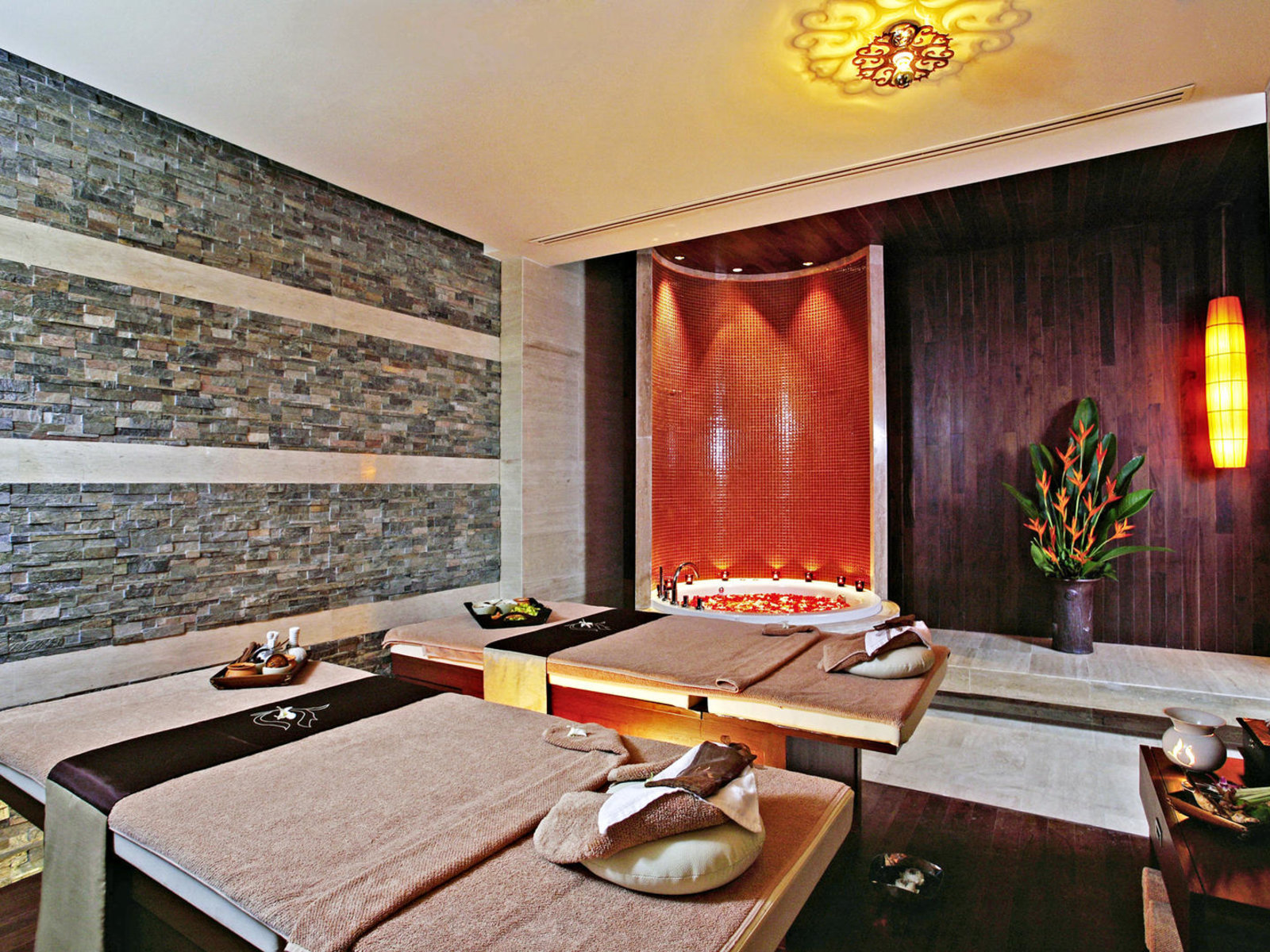 Wellness