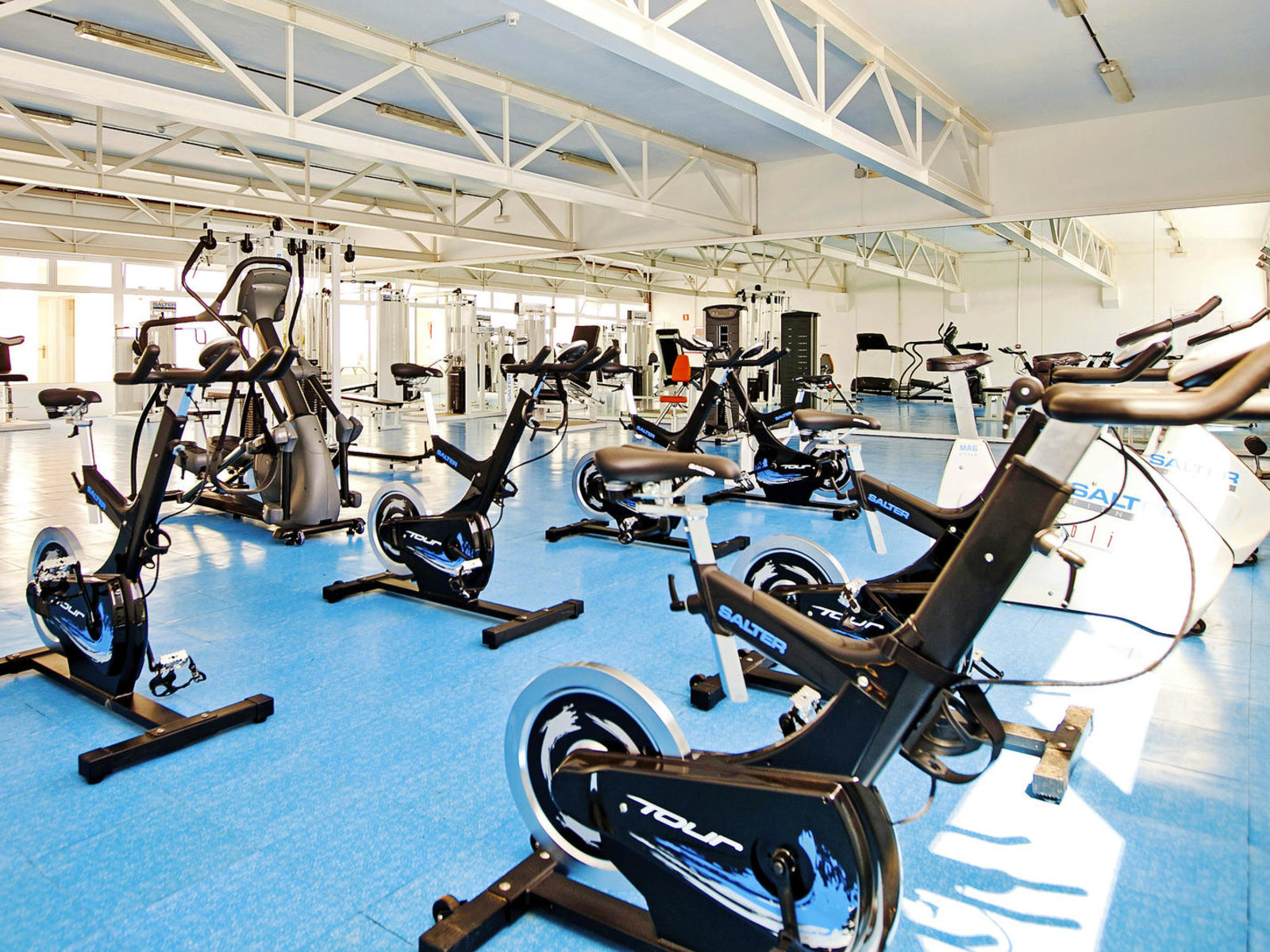 Sport