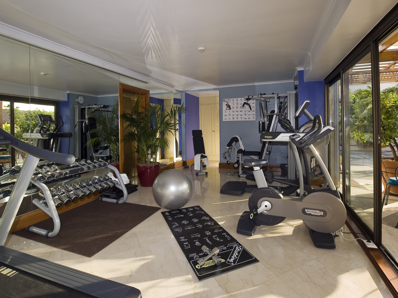 Sport