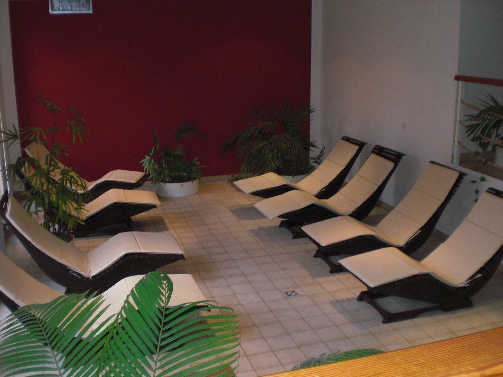 Wellness