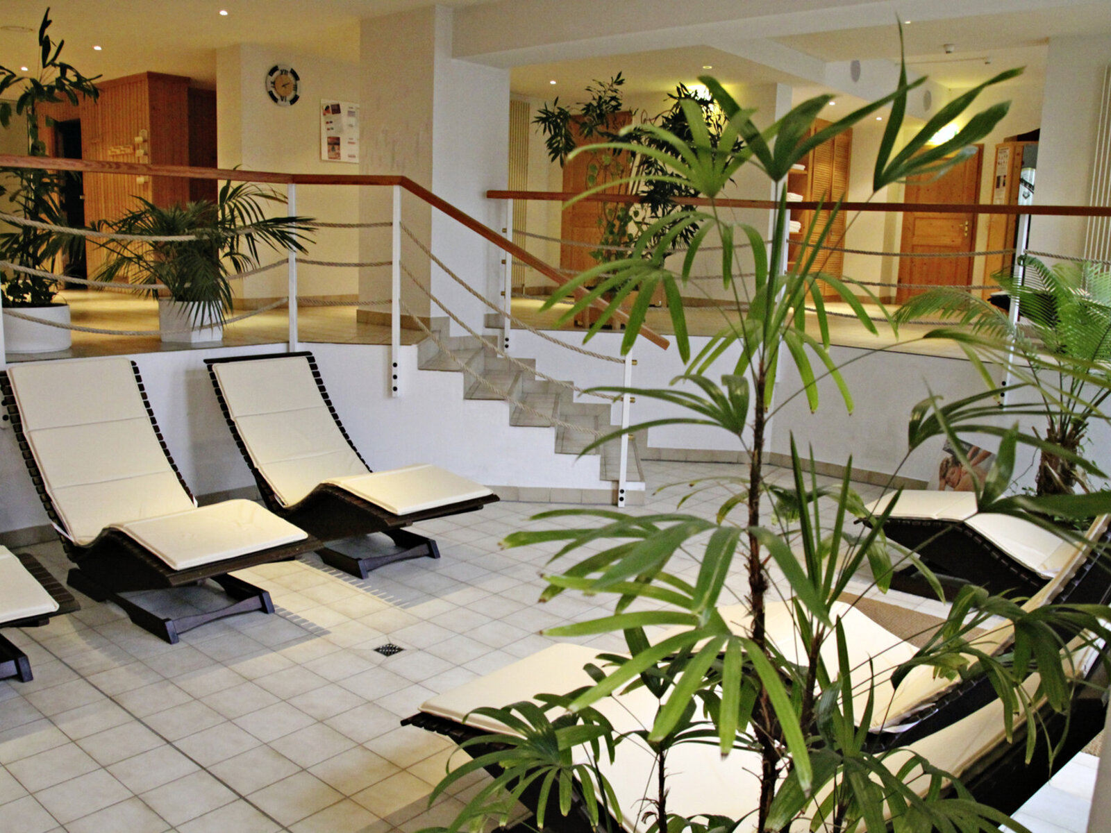 Wellness