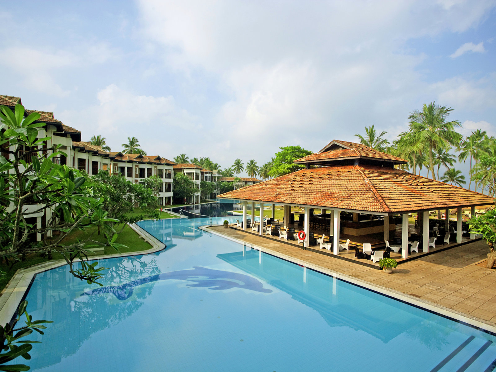 Activity Pool