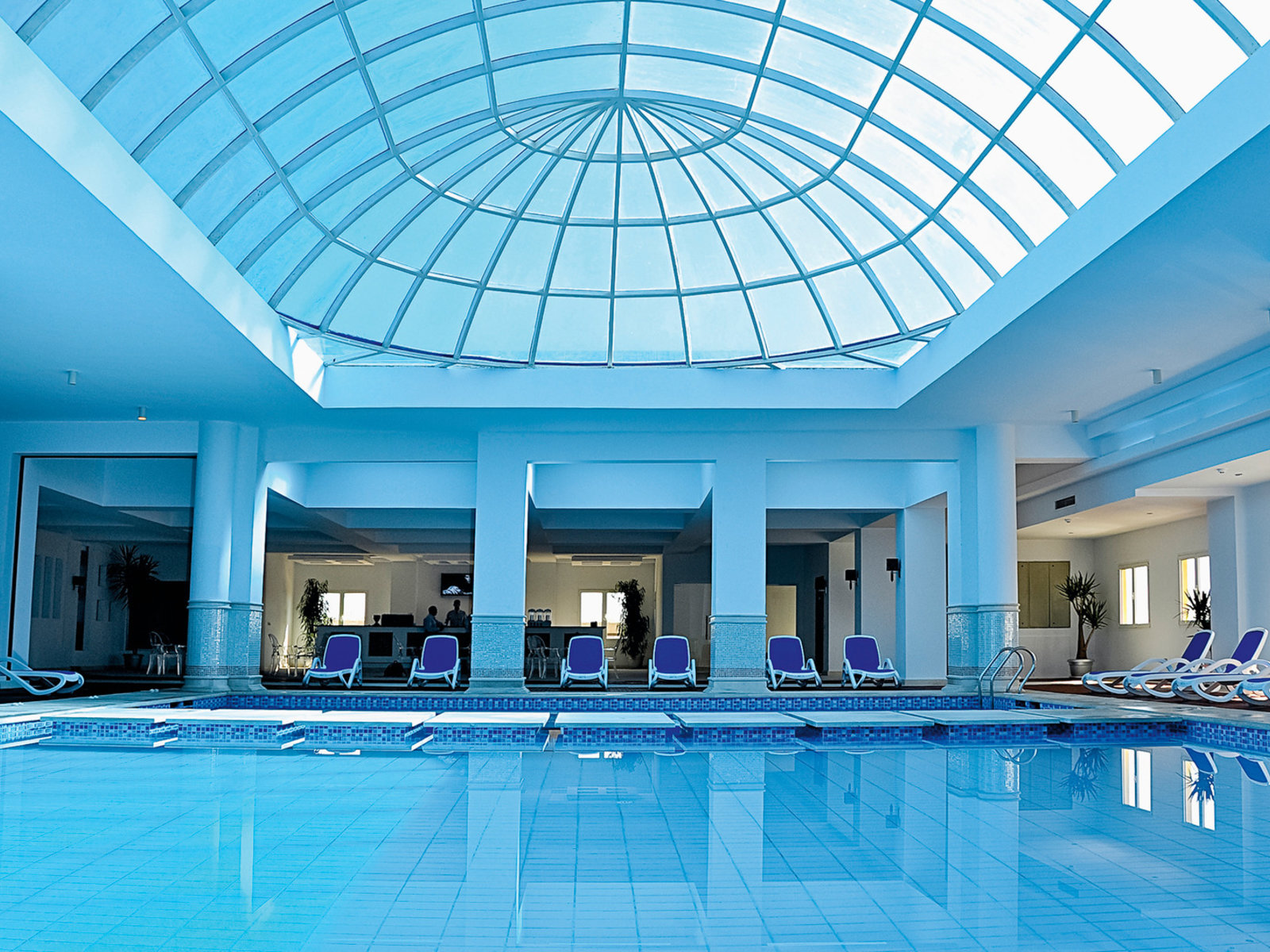 Wellness