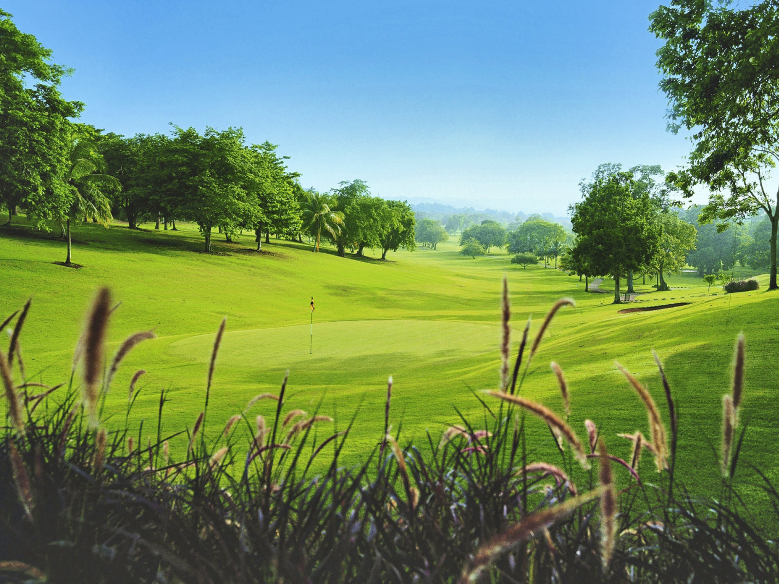 Golf