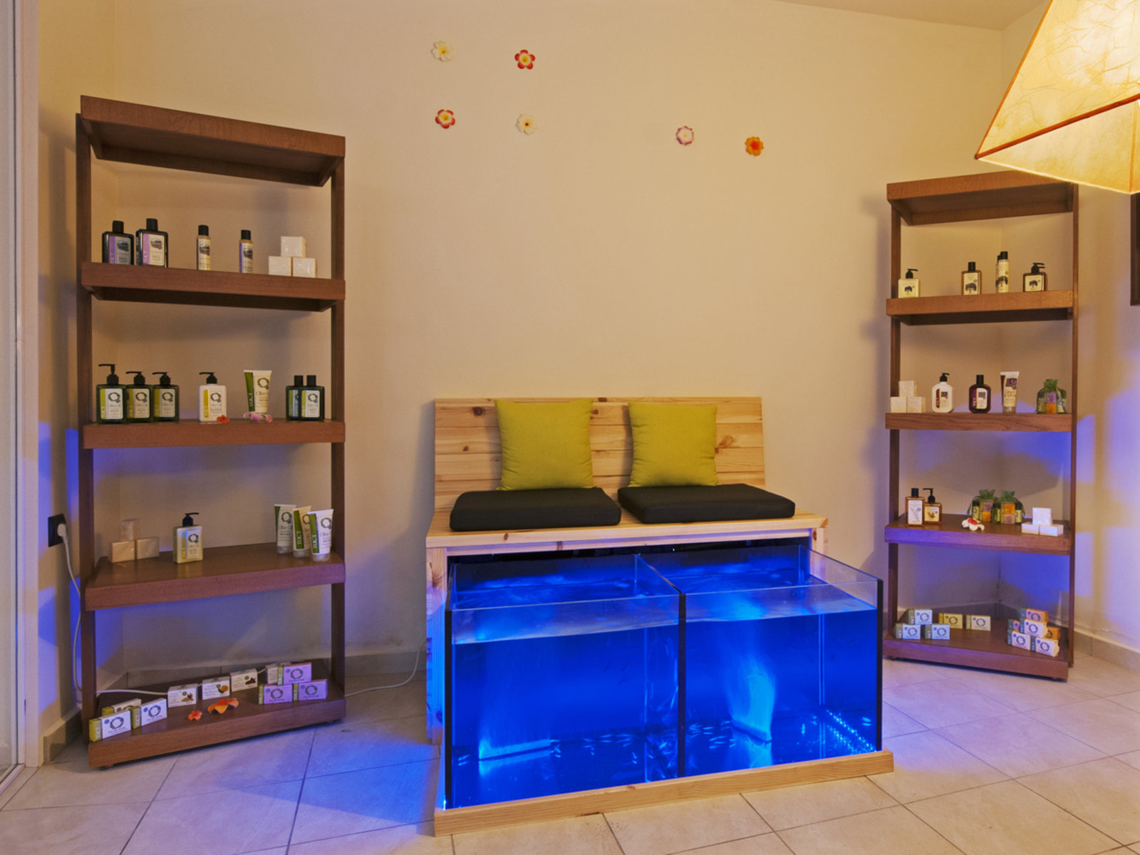 Wellness