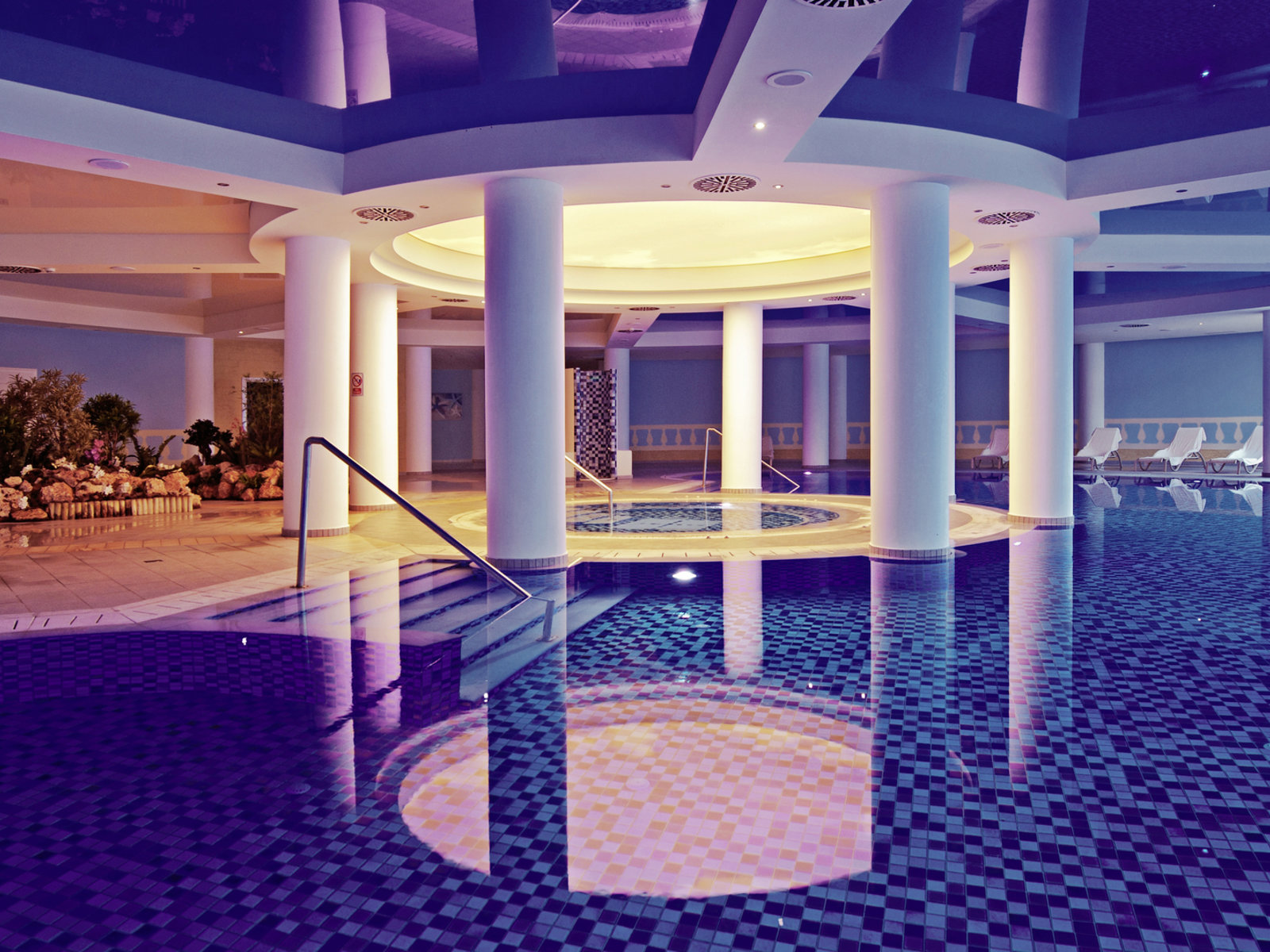 Wellness