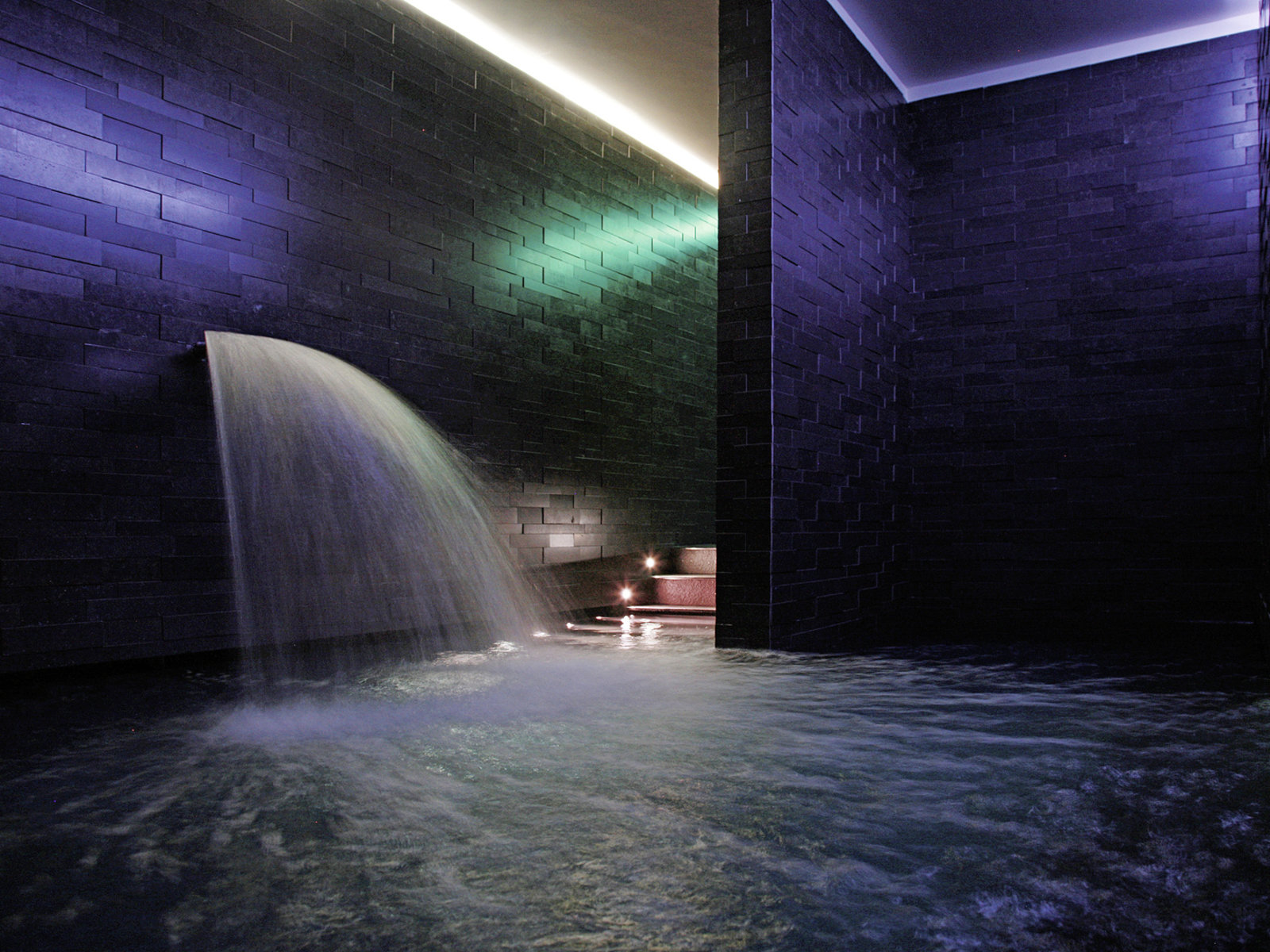 Wellness