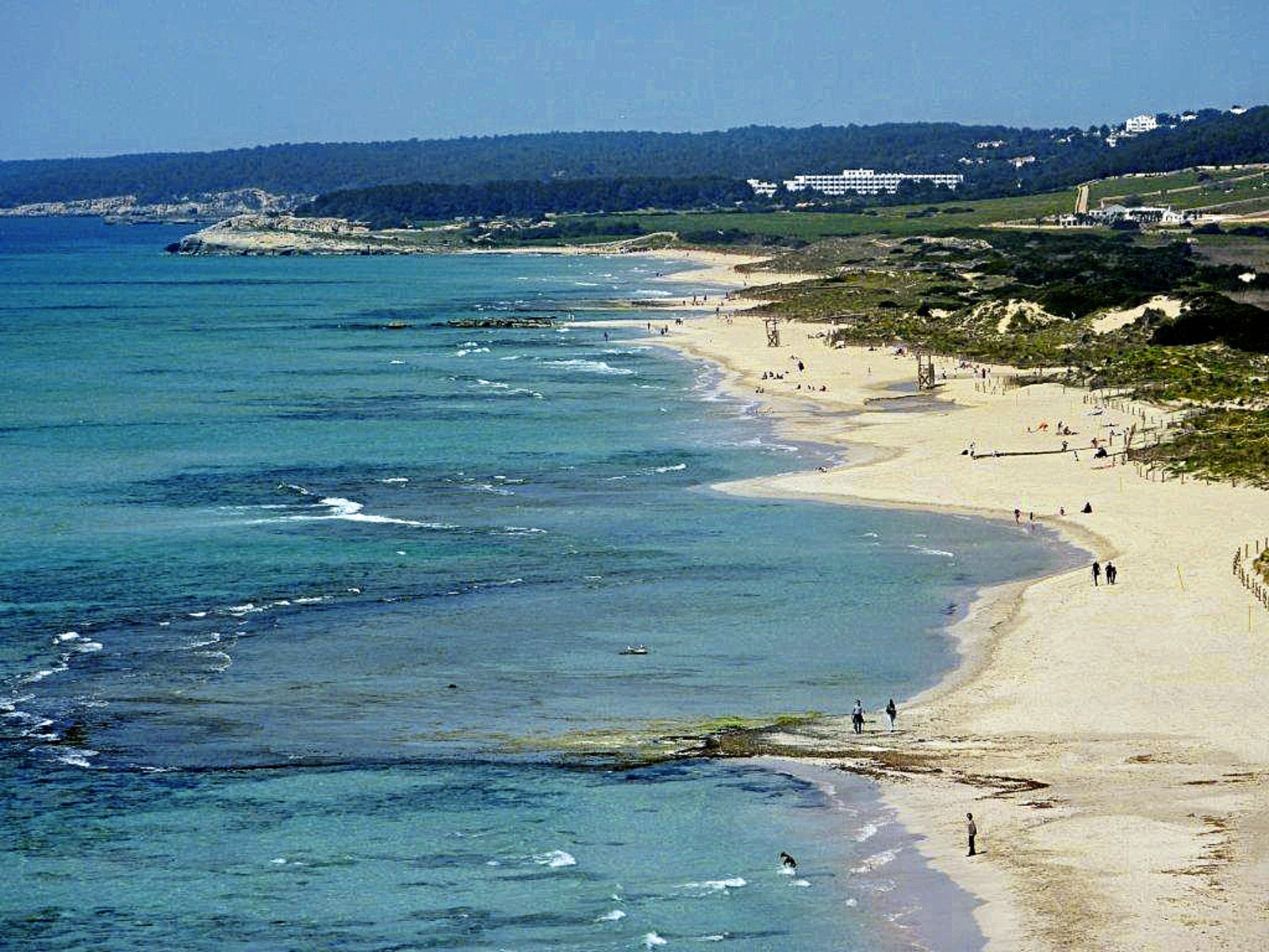 Strand