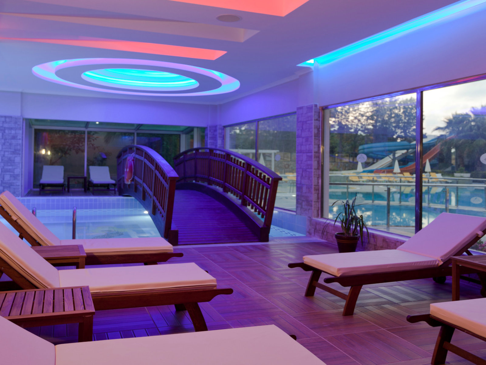 Wellness