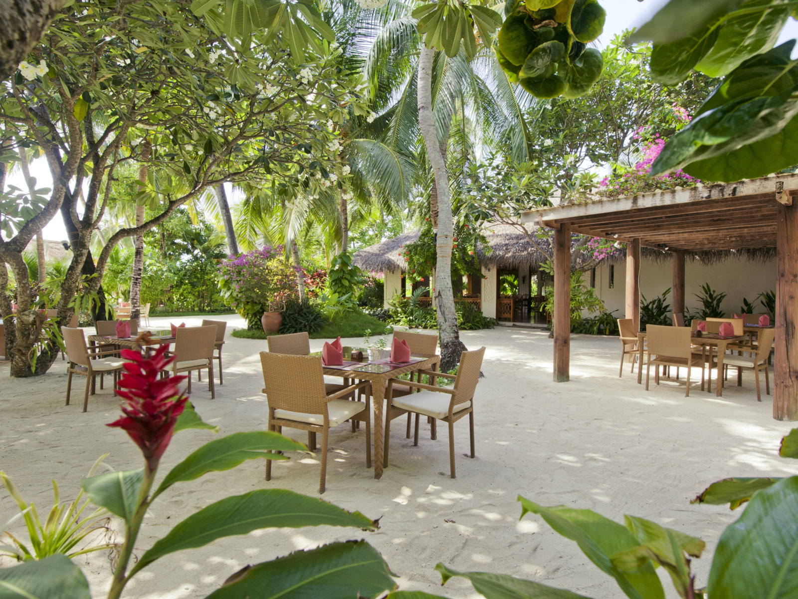 Island Coffee Shop