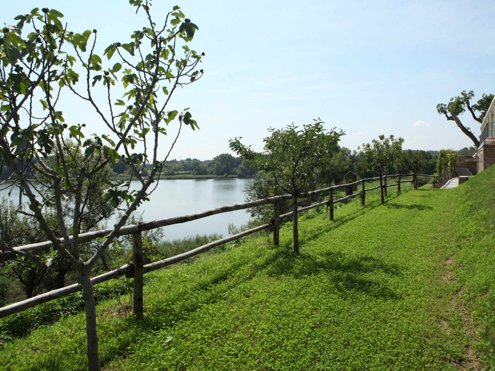 Landschaft