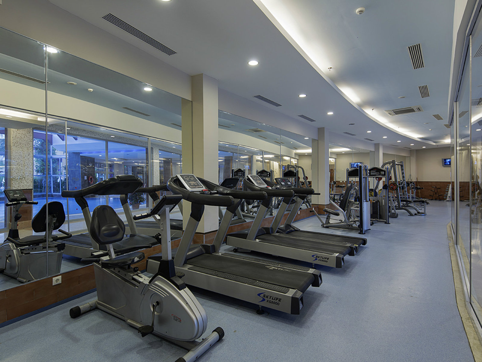 Sport