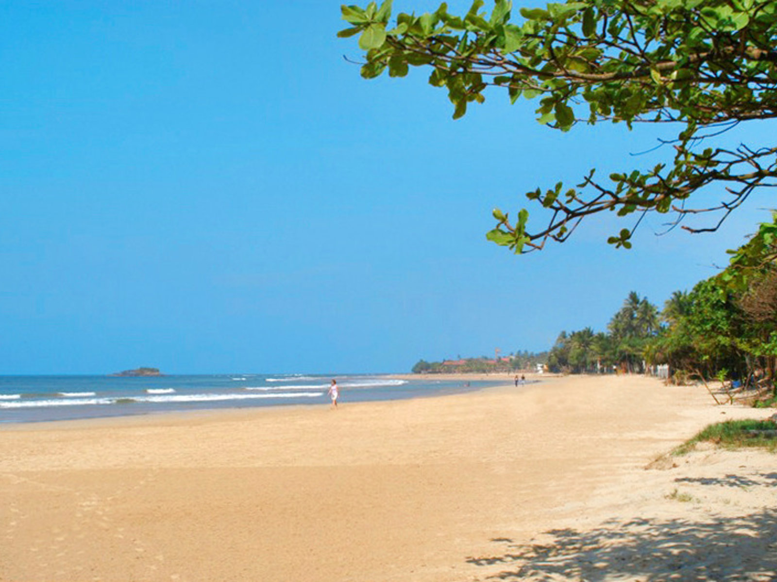 Strand