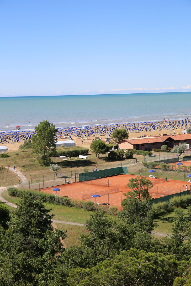 Sport