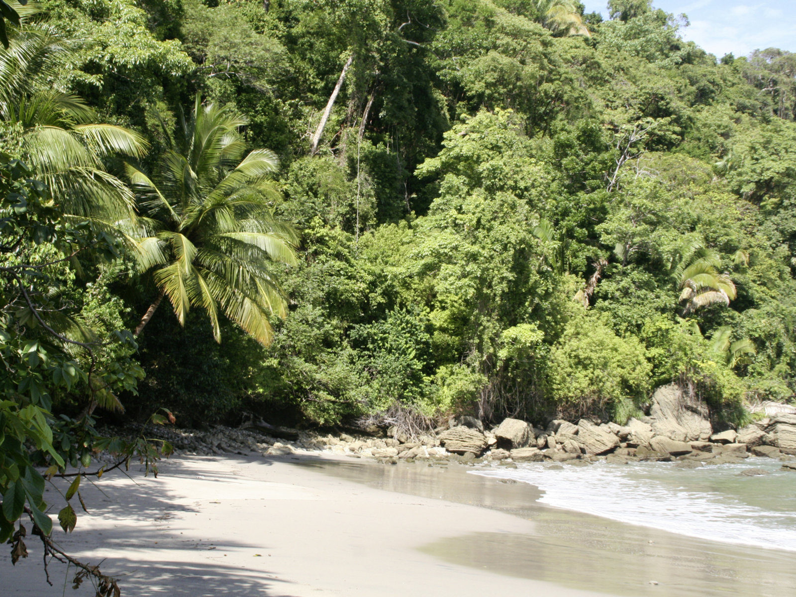 Hotel TUI Tours Selbstfahrerreise Costa Rica für Entdecker in San Jose