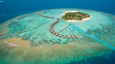 Heiraten Auf Den Malediven Alle Infos Fur Eure Hochzeit Im Paradies Tui Com Reiseblog 