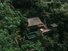 Rainforest Pool Bale Rainforest Pool Bale