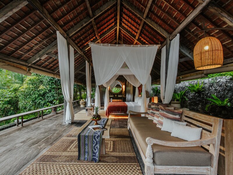 Rainforest Pool Bale Rainforest Pool Bale